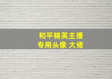 和平精英主播专用头像 大佬